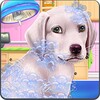 Labrador Puppy Day Care icon