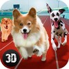 Dog Racing Tournament 3D icon