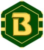 BTN Miner icon