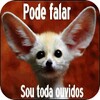 Piadas com imagens icon