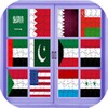 لعبة أعلام الدول icon