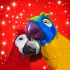 Pictogramă Talking Parrot Couple Free