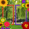 Nature Photo Frame - Dual icon