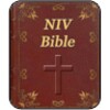 New International Version Bible free offline audio icon