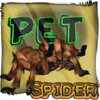 Spider Pet icon