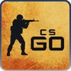 CS icon