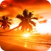 Icon von Sunset Wallpapers 4K