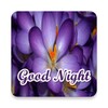 Good Night Flowers Stickers icon