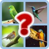 Hard Logo quiz game ofline icon