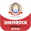 Shemrock World, Ropar icon