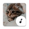 Icono de Kitten Sounds