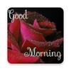 Good morning Images Gifs, Flowers Roses wallpapers icon
