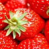 Strawberry Wallpapers icon