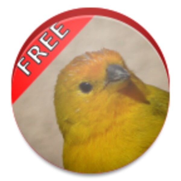 BirdSoundsApp for Android - Download the APK from Uptodown