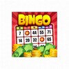 Bingo Billionaire icon