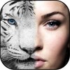 Animaux Changer de visage icon