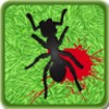 Ants Killer icon