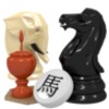 Chess and Variants icon