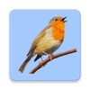 European Birds Songs & Calls icon