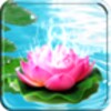 Icon von Lotus Live Wallpaper