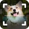 ไอคอน Dog Book : Dog Identifier