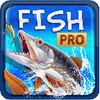 FishPro icon