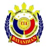Bayanihan CIA icon