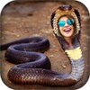 Snake Photo Frame icon