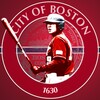 Boston Baseball icon
