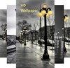 HD Wallpaper - HD & QHD Backgr icon