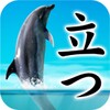 Can Dolphin Stand? icon