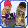 Funny Talking Cats icon