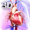 Circulatory System Anatomy icon