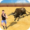 Fury Bull Fight 3D icon