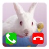 Fake Call Easter Bunny icon