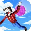 PixelToy Crash icon