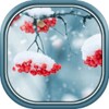 Beautiful Winter Live Wallpape icon