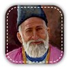 Mirza Ghalib Shayari icon