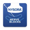 Icône Nerve Blocks