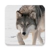 Icono de Wolves Sounds