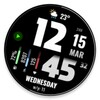 Icona di WFP 219 Digital watch face