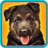 Dog Memory Game icon