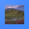 Icono de Nature Puzzle