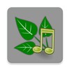 Sonidos de la naturaleza icon