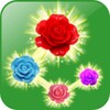 Rose Paradise matching games icon