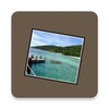 Photo Widget icon