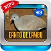 Canto De Lambu Completo icon