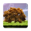 Spring Storm Live Wallpaper icon