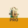 Icono de VPN XLock Pro