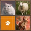 Memory - Animals icon